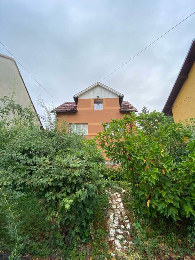 Izdavanje Sobe/stana Apartment *