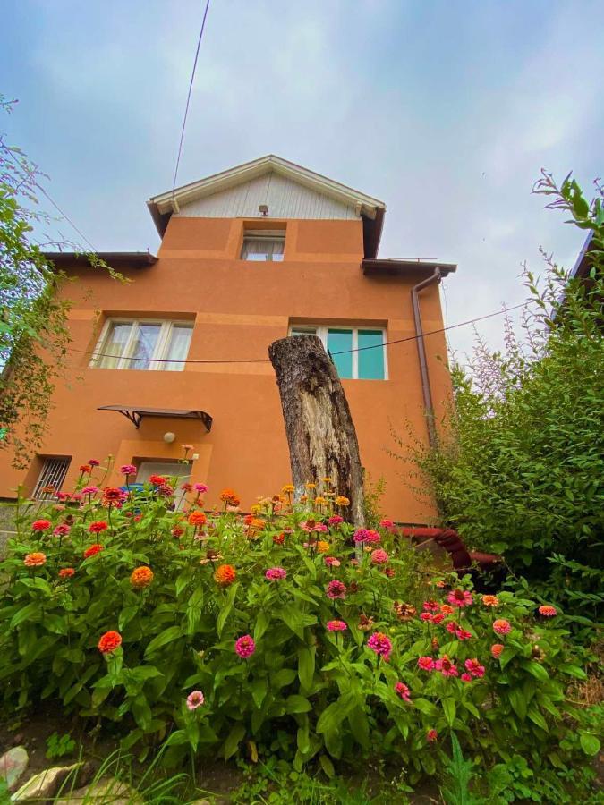 Apartment Izdavanje Sobe/stana